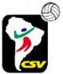 Confederacin Ssudamericana de Voley